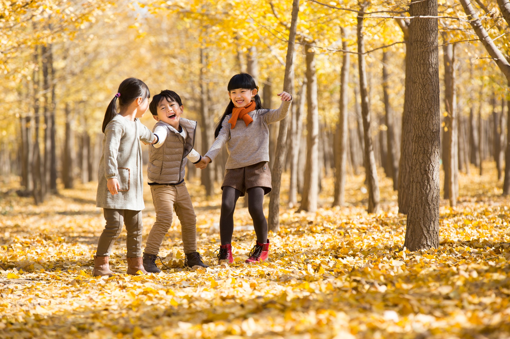 Three children playing in autumn woods