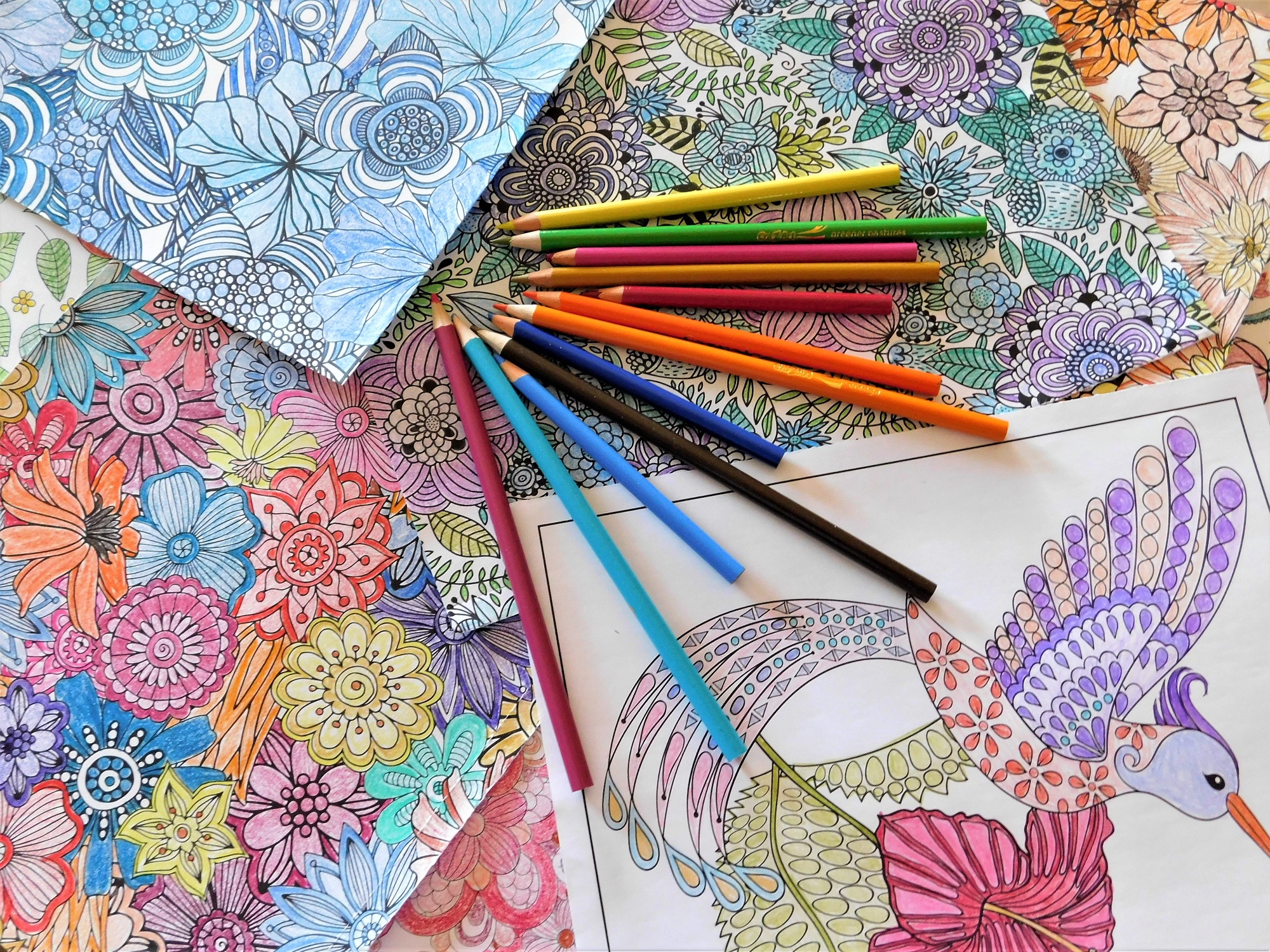 coloriage magique adulte